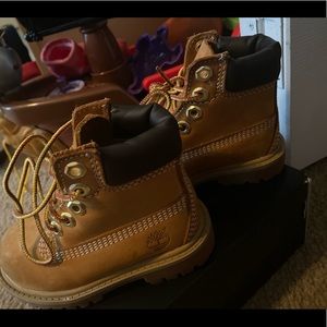 5c Wheat Timberlands
